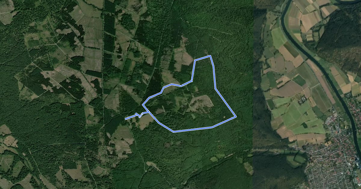Маршрут Forstmeisterrunde на спутниковом снимке
