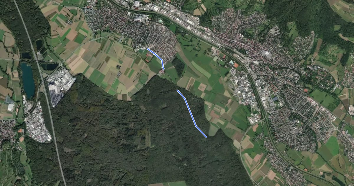 Маршрут Forstrat-Hof-Eiche - Teningen E.-Schindler-Stadion на спутниковом снимке