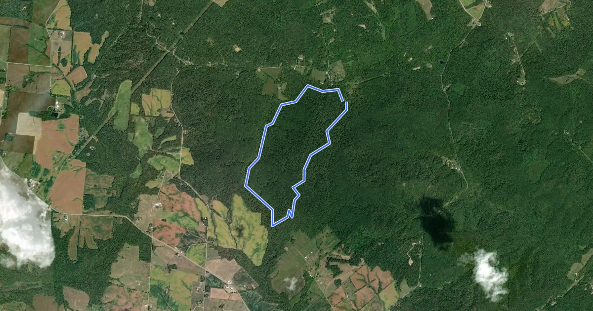Маршрут Fort Hill Preserve - Gorge Trail на спутниковом снимке