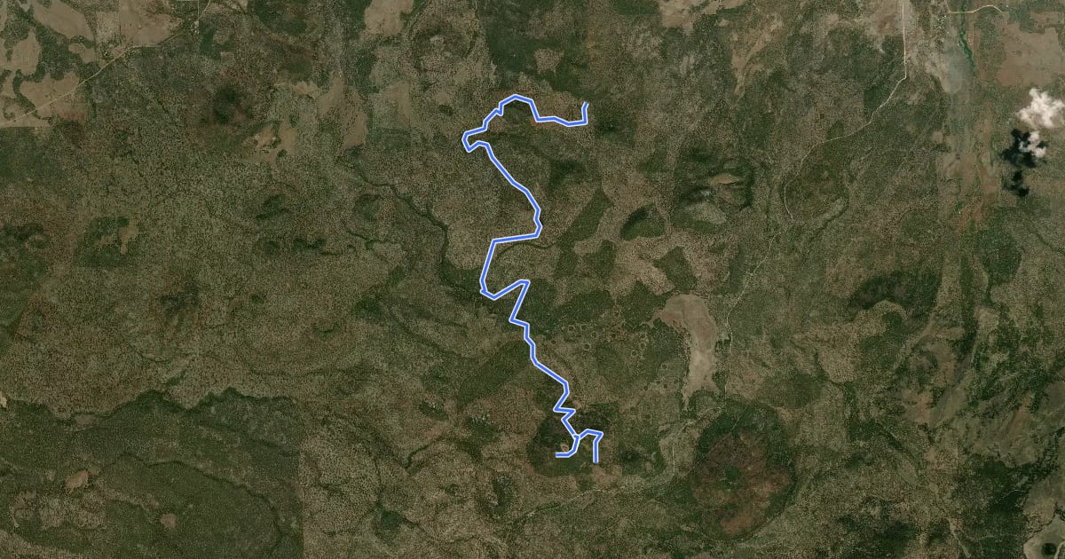 Маршрут Four Springs Trail на спутниковом снимке