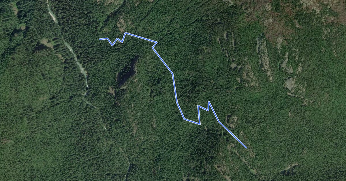 Маршрут Fourth of July Trail на спутниковом снимке