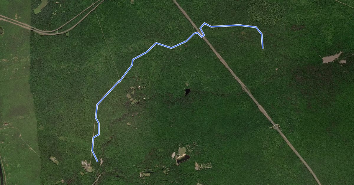 Маршрут Fourth Run Trail на спутниковом снимке