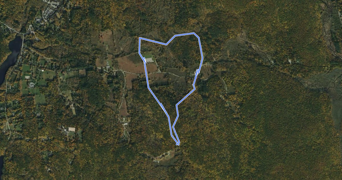 Маршрут Fox Hill Trail на спутниковом снимке