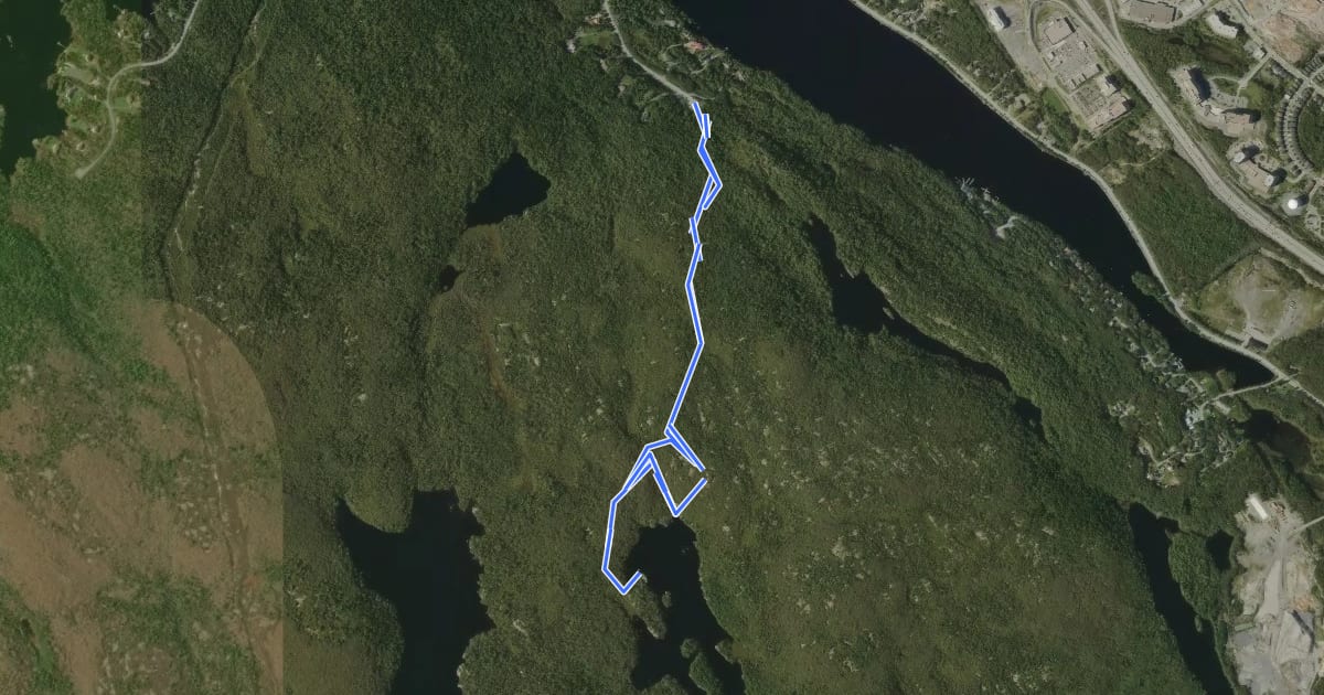 Маршрут Fox Lake Trail на спутниковом снимке