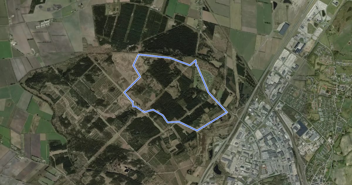 Маршрут Frøslev Plantage - gul rute на спутниковом снимке