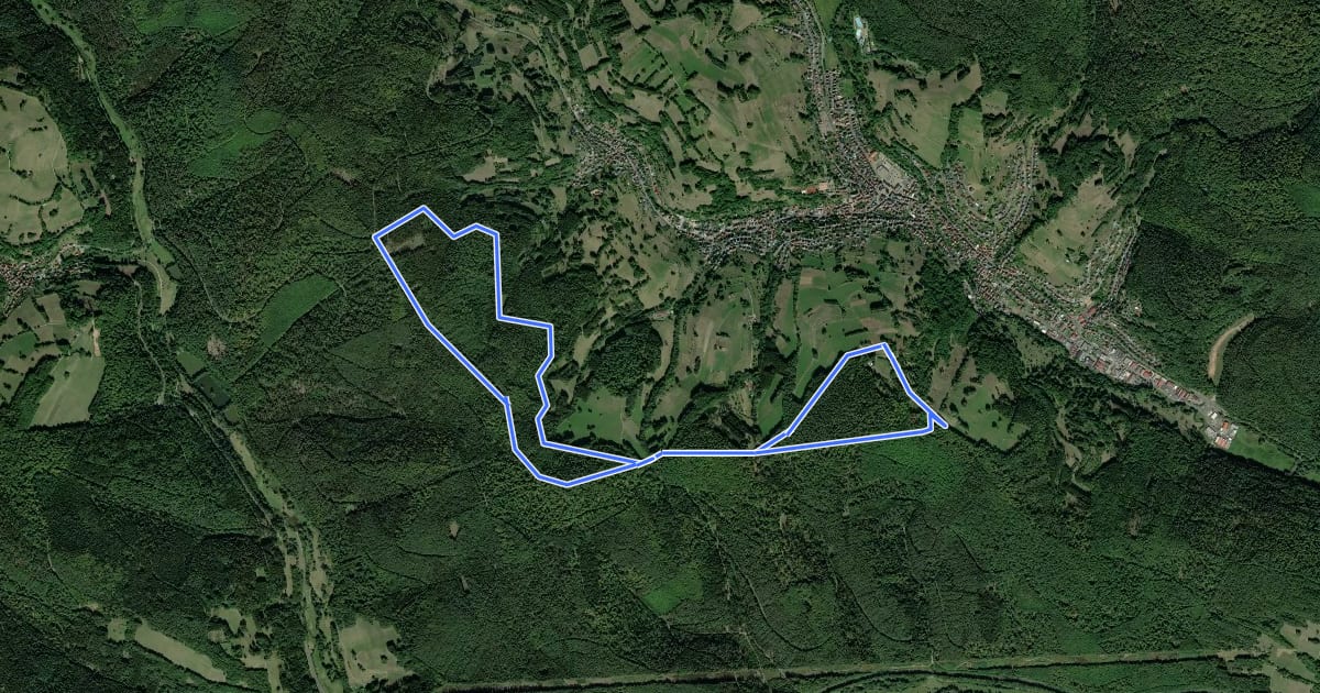 Маршрут Frammersbach Nordic Walking-Runde 4 на спутниковом снимке