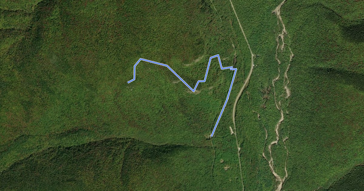 Маршрут Frankenstein Cliff Trail на спутниковом снимке