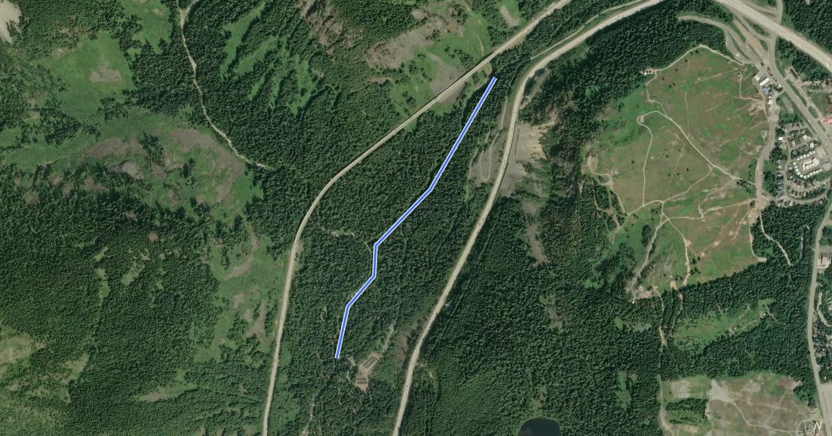 Маршрут Franklin Falls Trail на спутниковом снимке