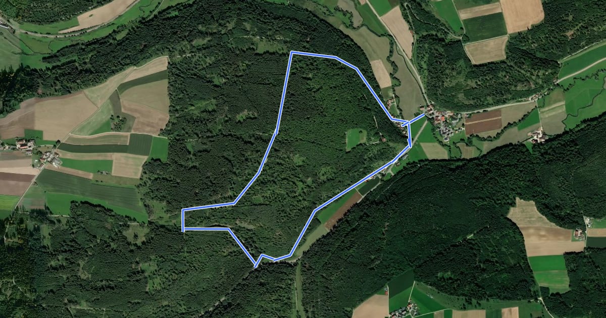 Маршрут Franzosenweg на спутниковом снимке