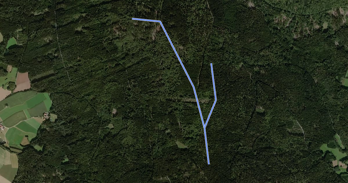 Маршрут Frauensteinweg на спутниковом снимке