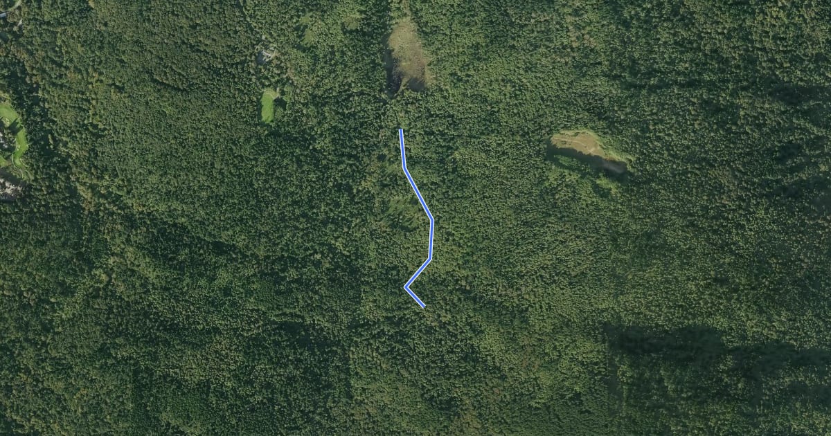 Маршрут Fred's Railroad Trail на спутниковом снимке