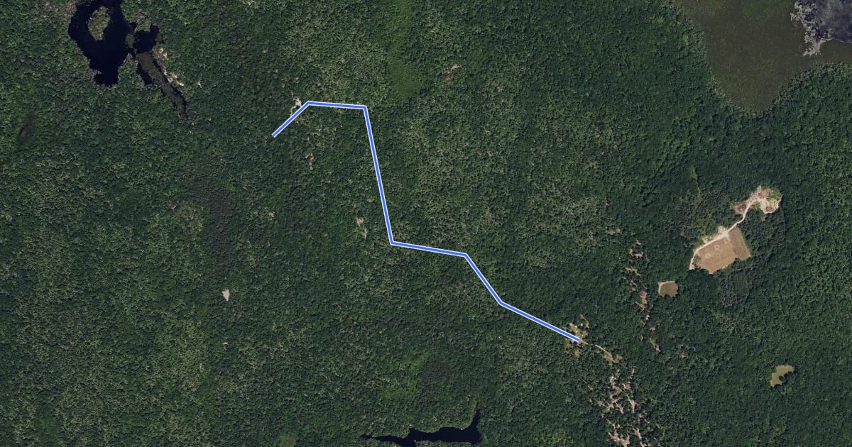 Маршрут Freeman Trail на спутниковом снимке