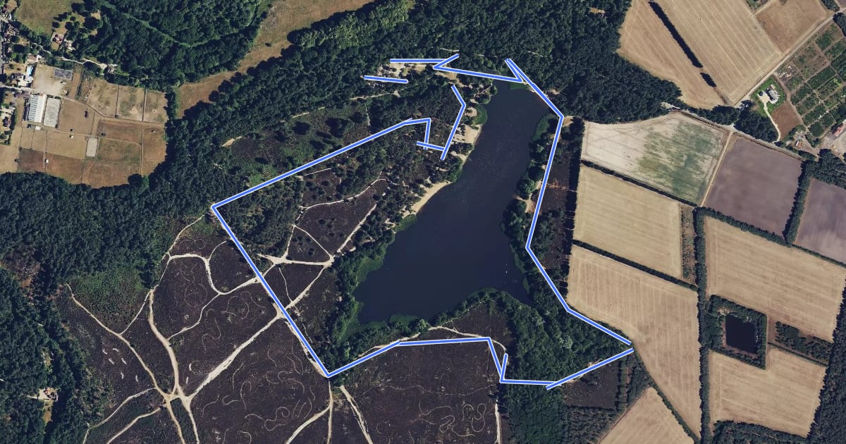 Маршрут Frensham Little Pond Family Walk, Frensham на спутниковом снимке