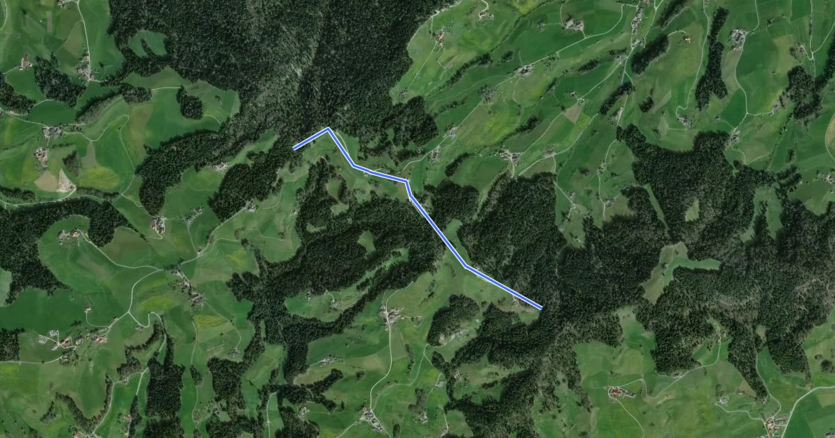 Маршрут Freudigenegg - Oberwald Schaber на спутниковом снимке