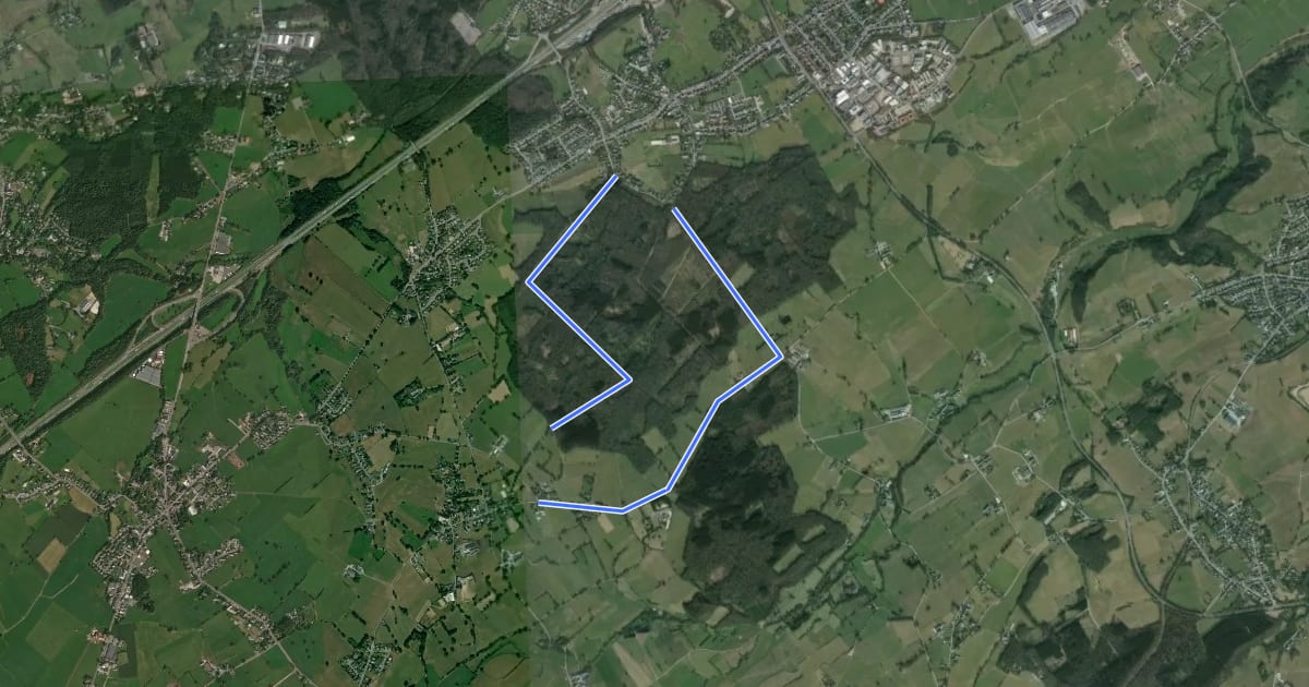 Маршрут Freyenter Wald на спутниковом снимке