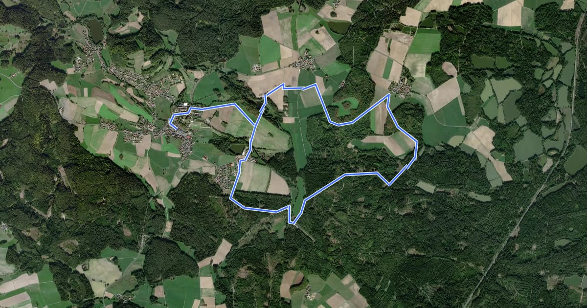 Маршрут Friedenfels Rundwanderweg blau на спутниковом снимке