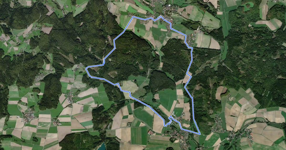 Маршрут Friedenfels Rundwanderweg grün на спутниковом снимке