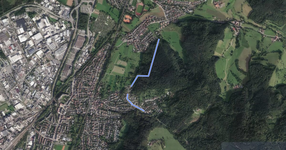 Маршрут Friedhof Wildtal - Kohlerweg на спутниковом снимке