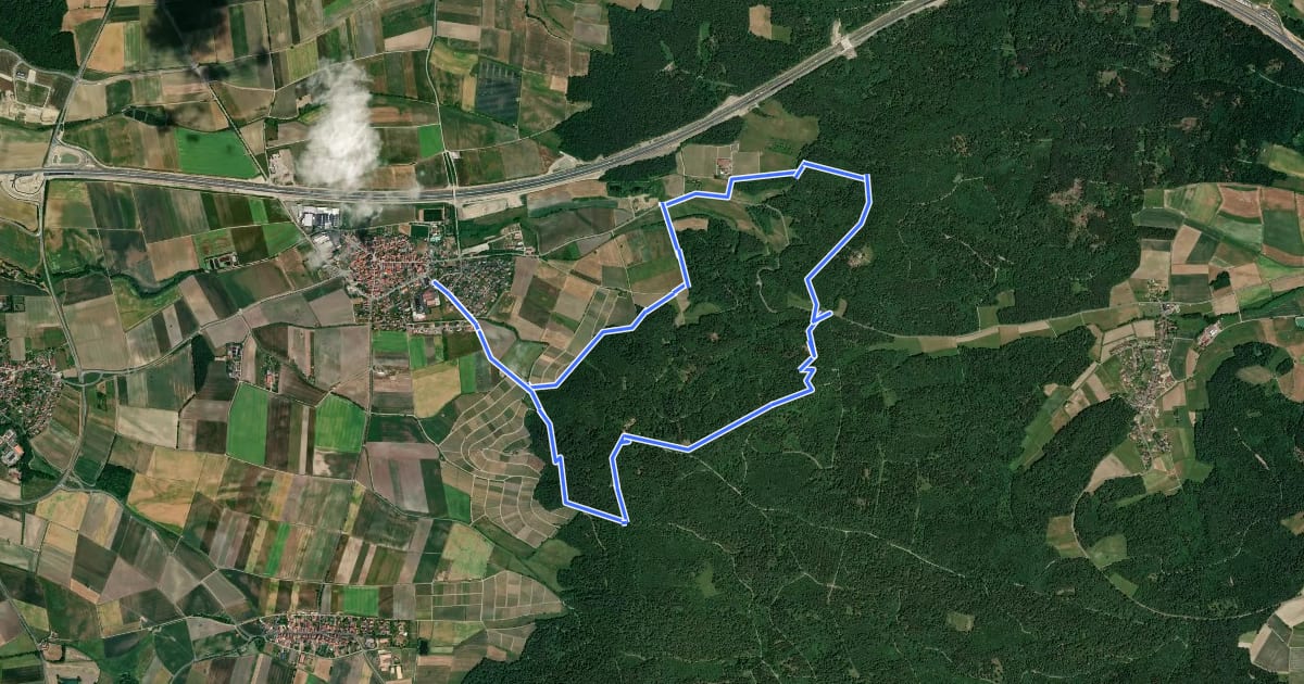 Маршрут Friedrichsbergweg на спутниковом снимке