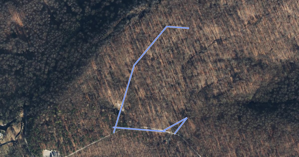 Маршрут Friedwald-Rundweg на спутниковом снимке