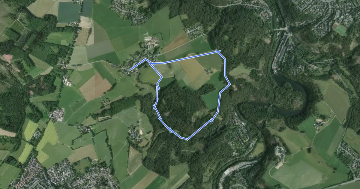 Маршрут Frielinghausen Rundweg A1 на спутниковом снимке