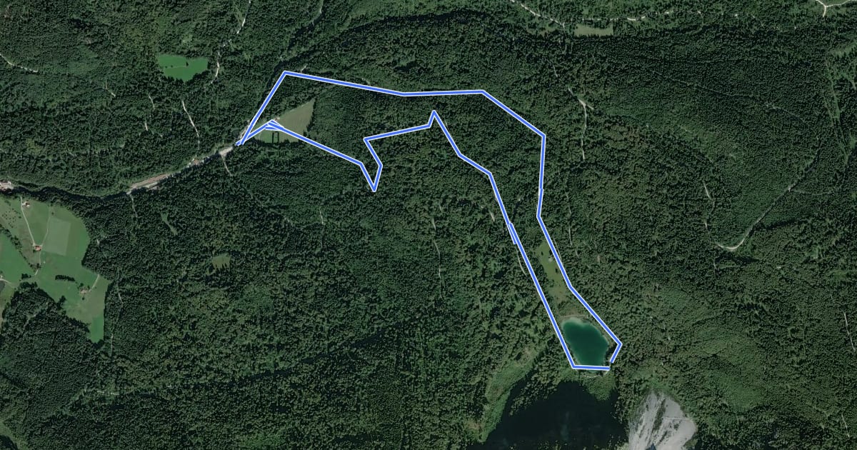 Маршрут Frillensee-Runde на спутниковом снимке