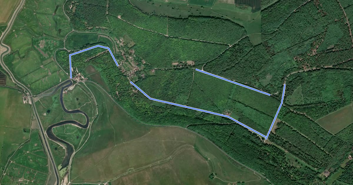 Маршрут Friston Forest Family MTB Route на спутниковом снимке