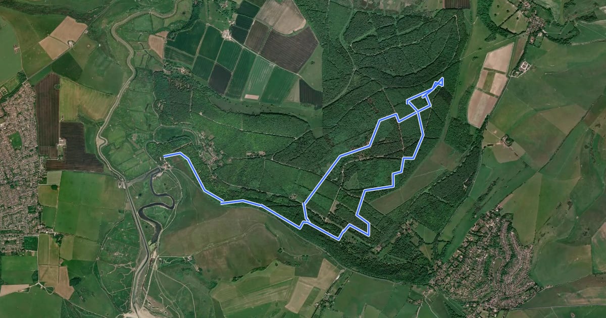 Маршрут Friston Forest Red MTB Route на спутниковом снимке