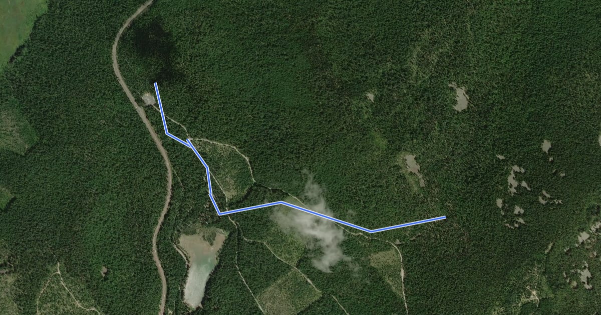 Маршрут Frog Lake Trail на спутниковом снимке