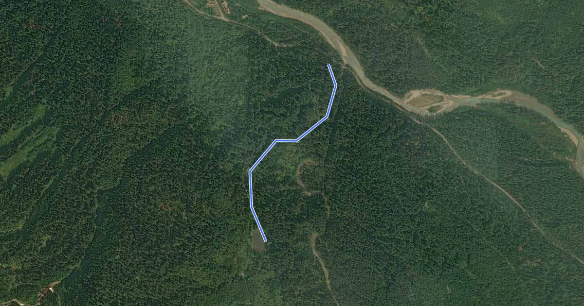 Маршрут Frog Lake Trail на спутниковом снимке