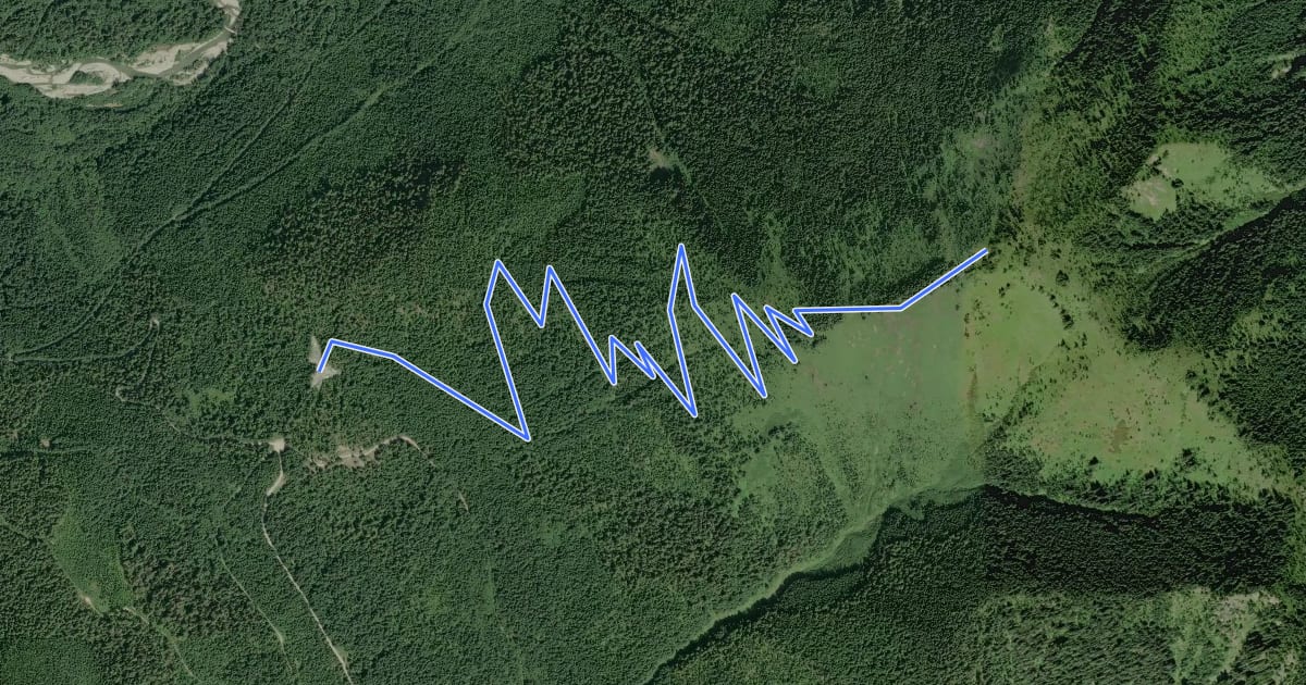 Маршрут Frog Mountain Trail на спутниковом снимке