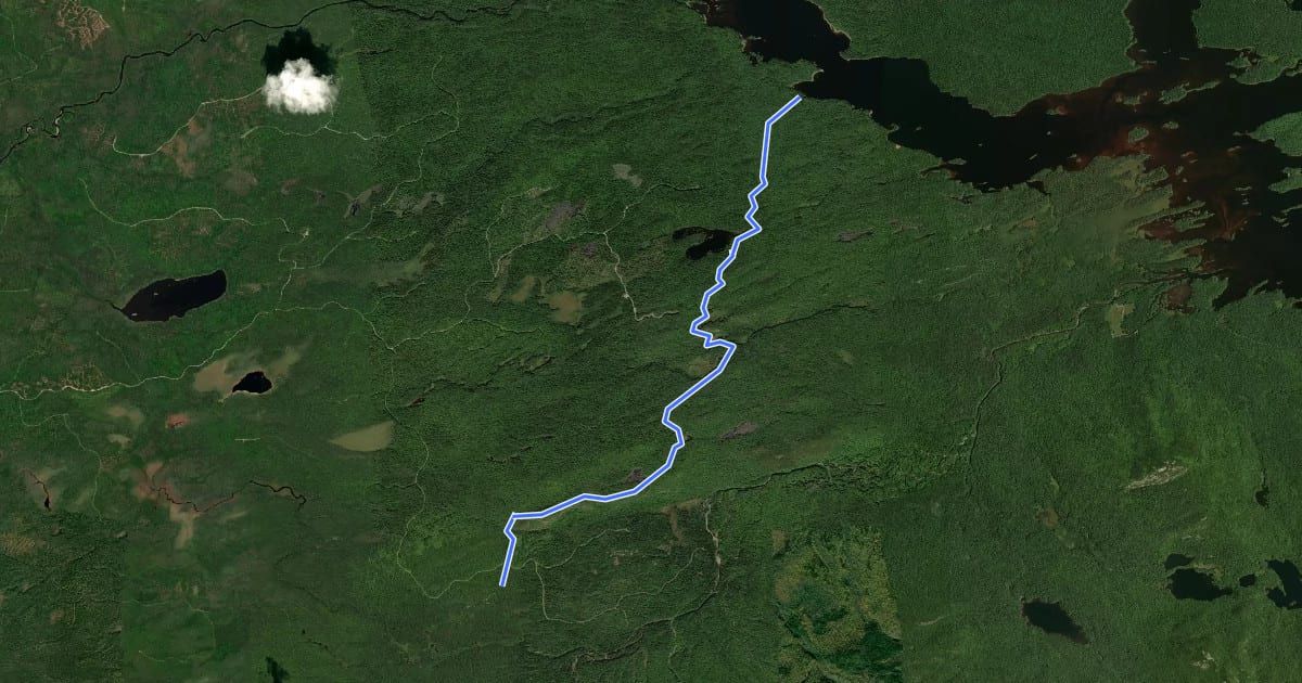 Маршрут Frost Pond Trail на спутниковом снимке