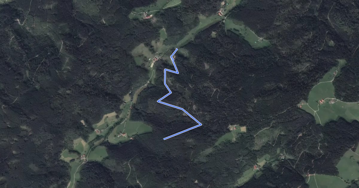 Маршрут Fußbühl - Schmidbauernhof на спутниковом снимке