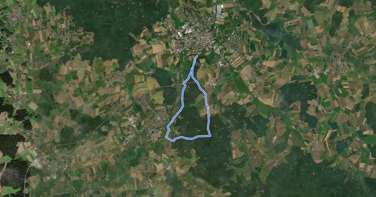Маршрут Fu05 Arnschwanger Weg на спутниковом снимке