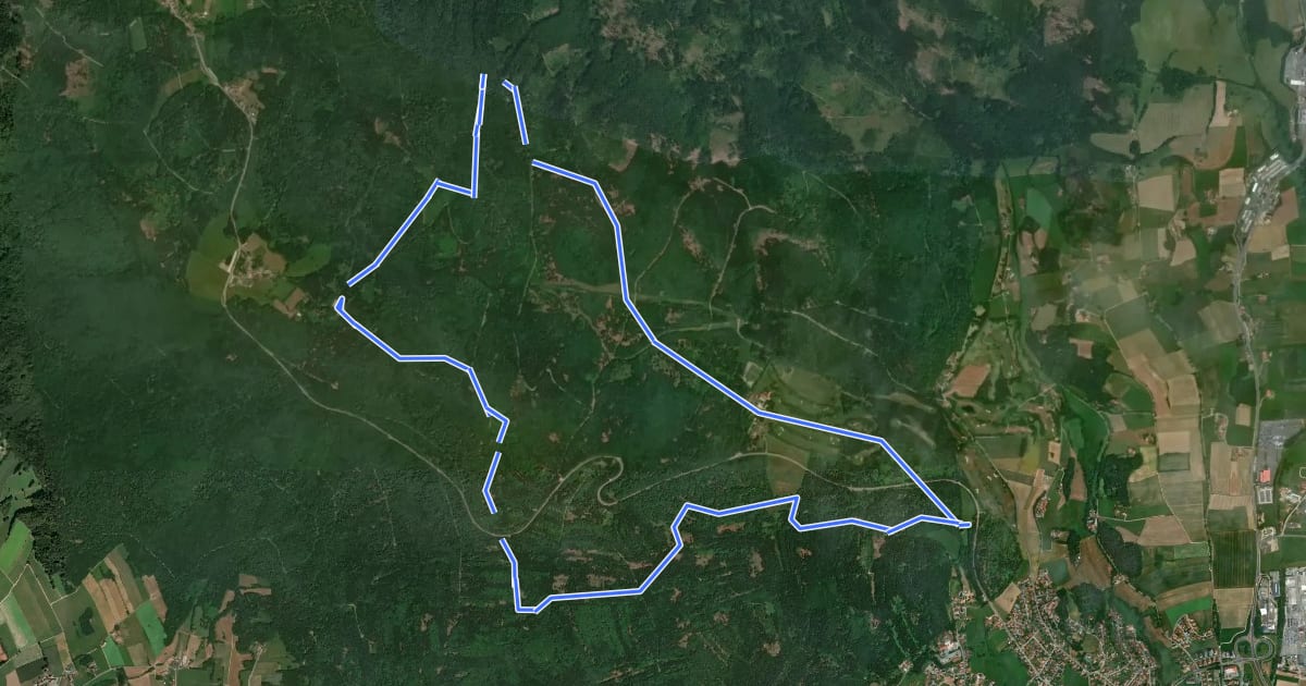 Маршрут Fu09 »Dreiwappenweg« (Furth im Wald) inkl. Abkürzung на спутниковом снимке