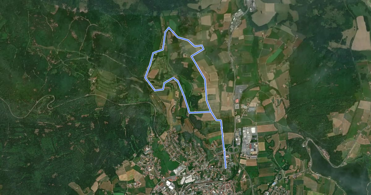 Маршрут Fu11 »Hammerschmiedeweg« (Furth im Wald) на спутниковом снимке
