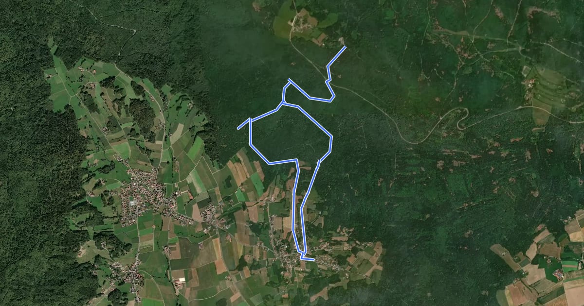 Маршрут Fu21 »Burgstallweg« (Furth im Wald) на спутниковом снимке