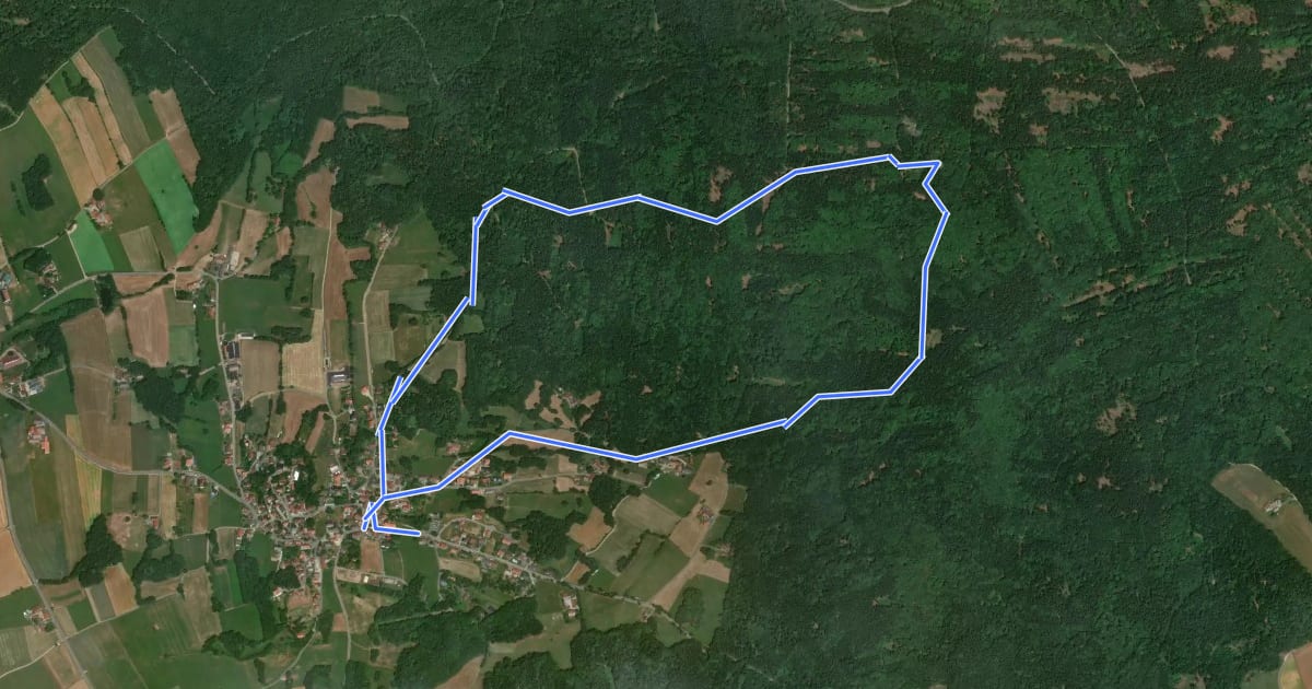 Маршрут Fu23 »Dachsriegelweg« (Furth im Wald) на спутниковом снимке