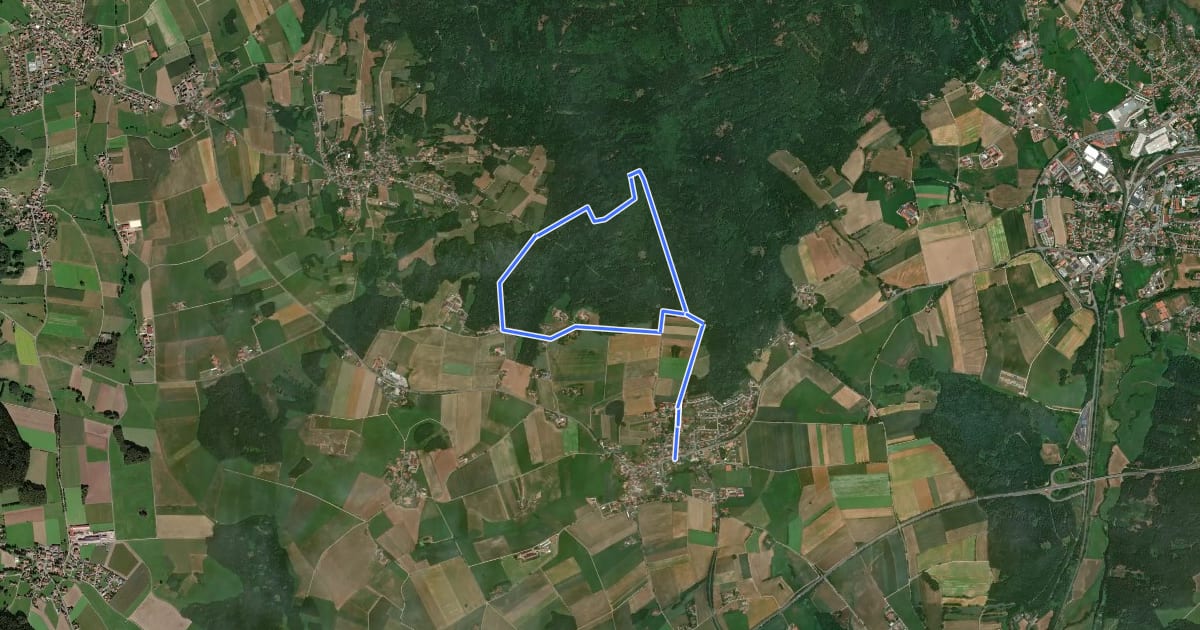 Маршрут Fu31 »Kirschbaumriegelweg« (Furth im Wald) на спутниковом снимке