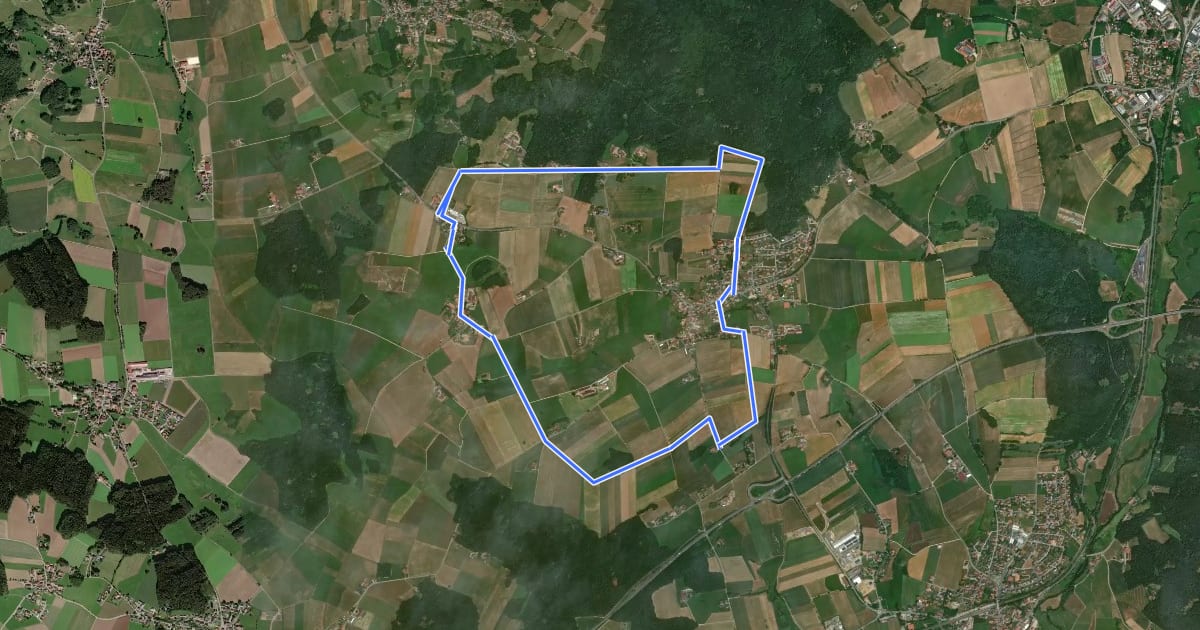 Маршрут Fu32 »Ränkamer Rundweg« (Furth im Wald) на спутниковом снимке