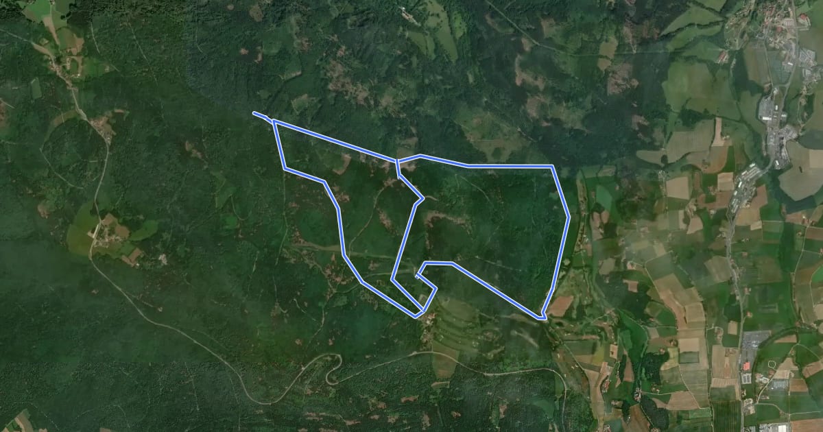 Маршрут Fu43 »Grenzweg« (Furth im Wald) на спутниковом снимке