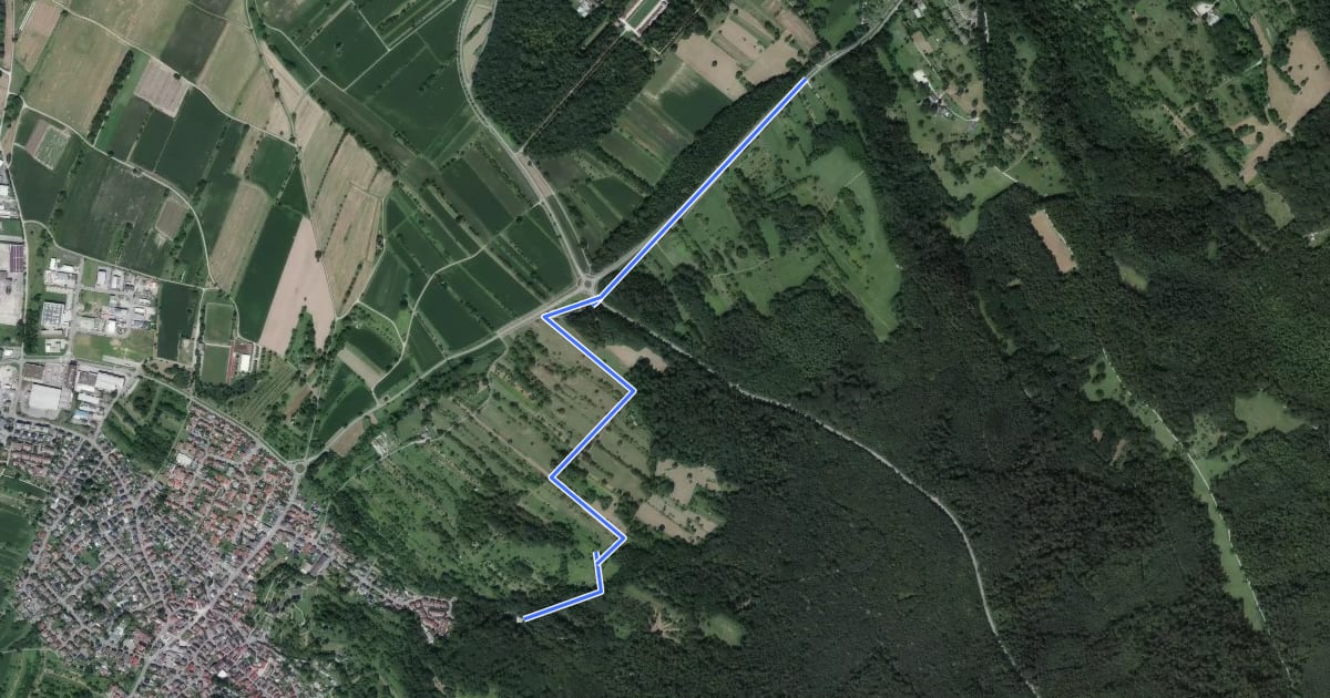 Маршрут Fuchslocher Klamm - Schmetterlingsweg на спутниковом снимке