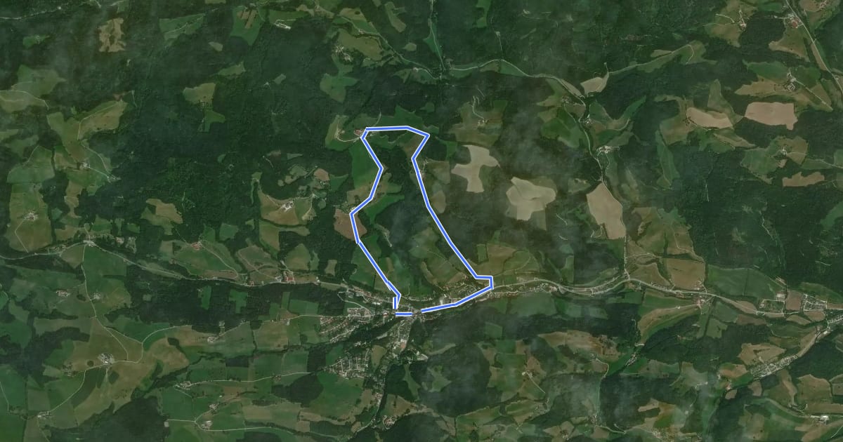 Маршрут Fuchsweg (Kaumberg - Jura - Grub - Ederhof - Haltestelle Kaumberg) на спутниковом снимке