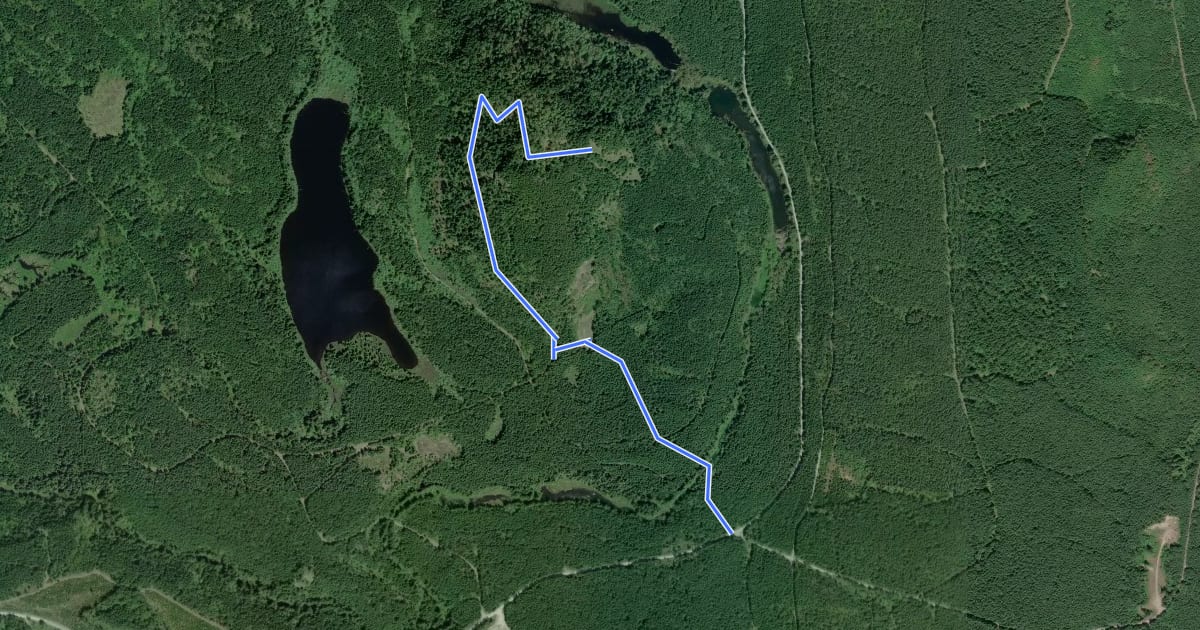 Маршрут Fuller Mountain Trail на спутниковом снимке