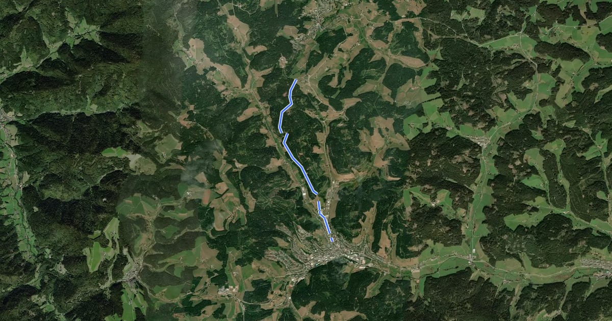 Маршрут Furtwangen - Escheck на спутниковом снимке