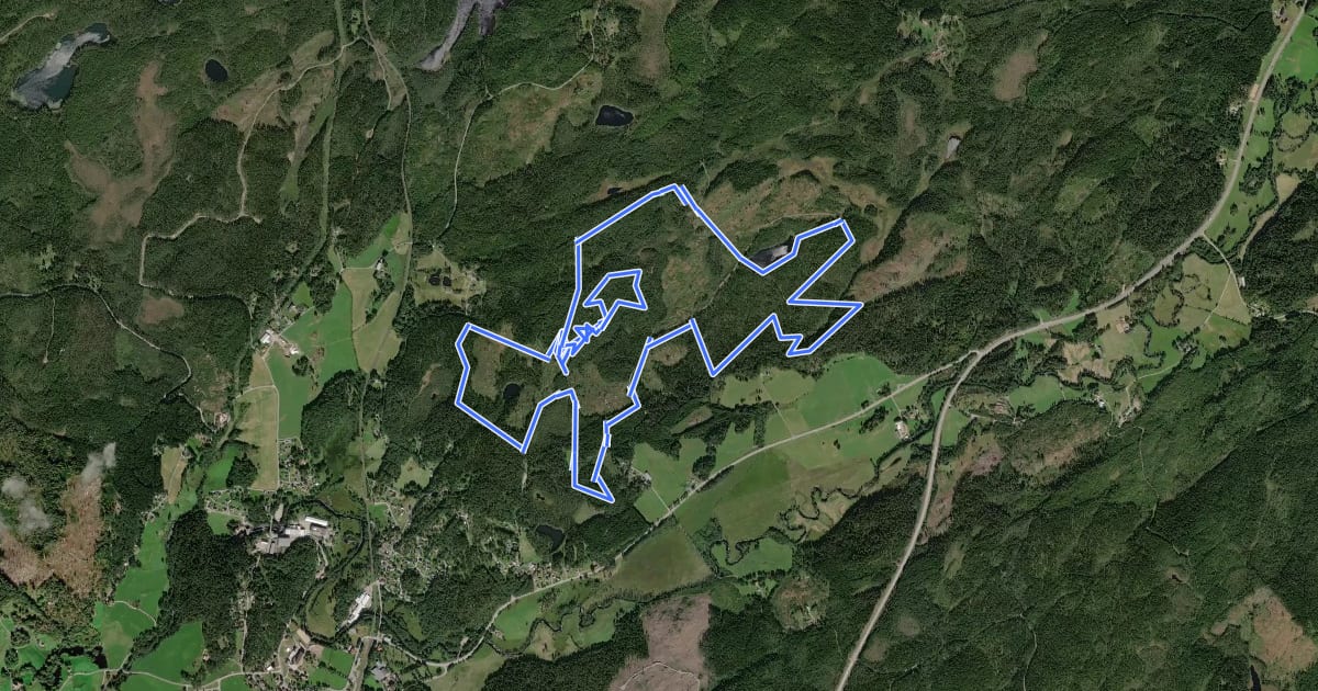 Маршрут FVIK Trail 10 km на спутниковом снимке