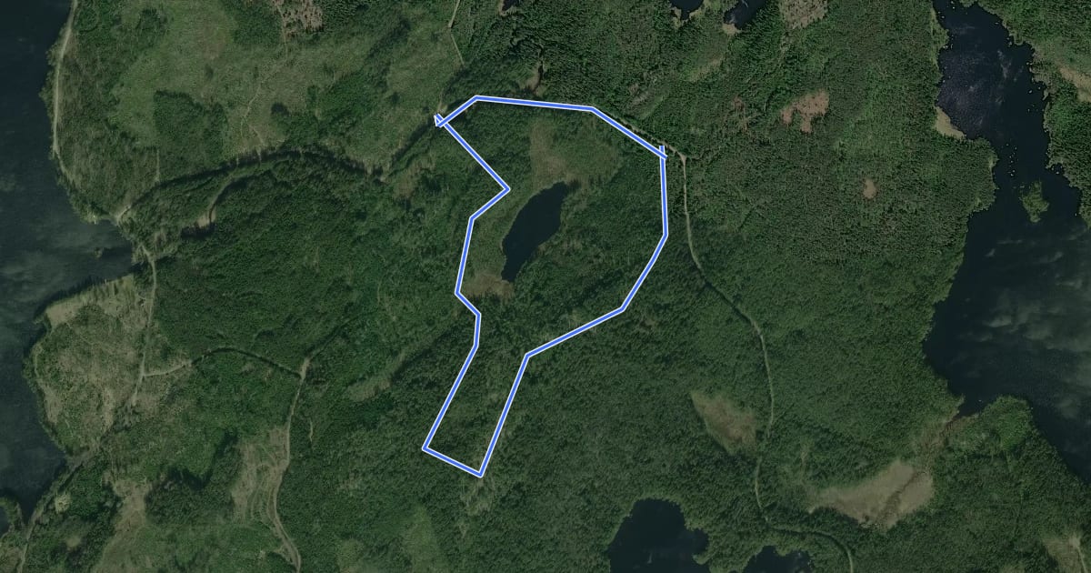 Маршрут Gällberget на спутниковом снимке