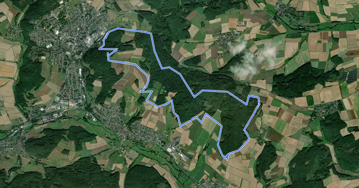 Маршрут [G8] - Rg. Ammenhsn. – Hoor – Wüsteburg – Nanzhäuser Heide – Rg. Lohra – Rg. Mornshsn. – Kirchberg на спутниковом снимке