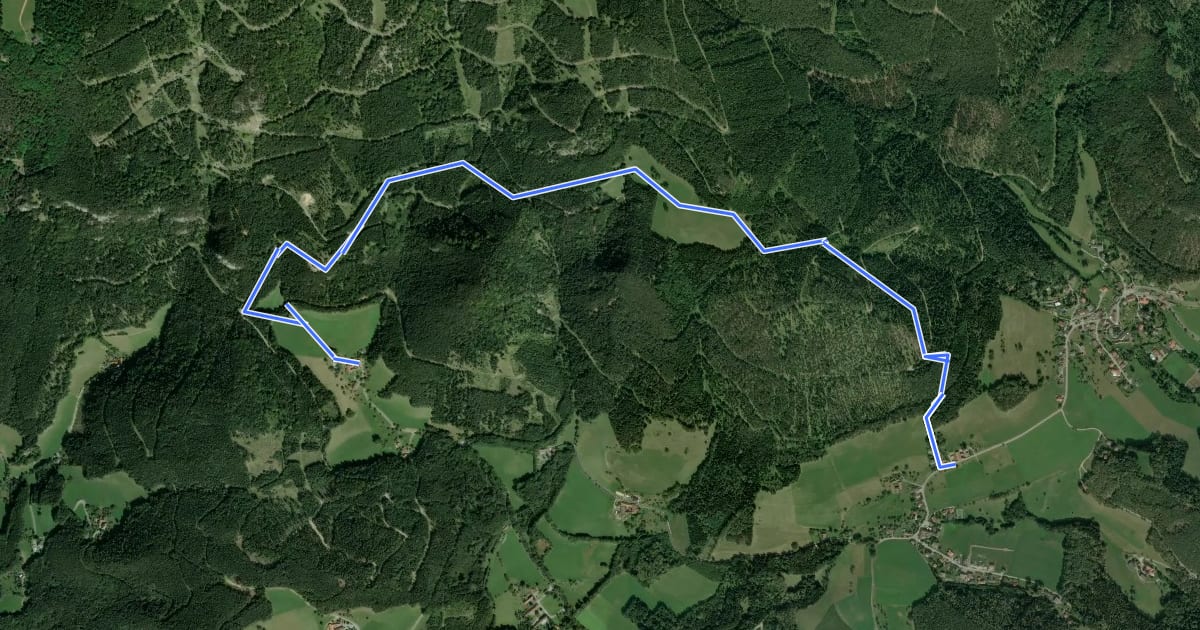 Маршрут Gahnshauswiese - Obertal на спутниковом снимке