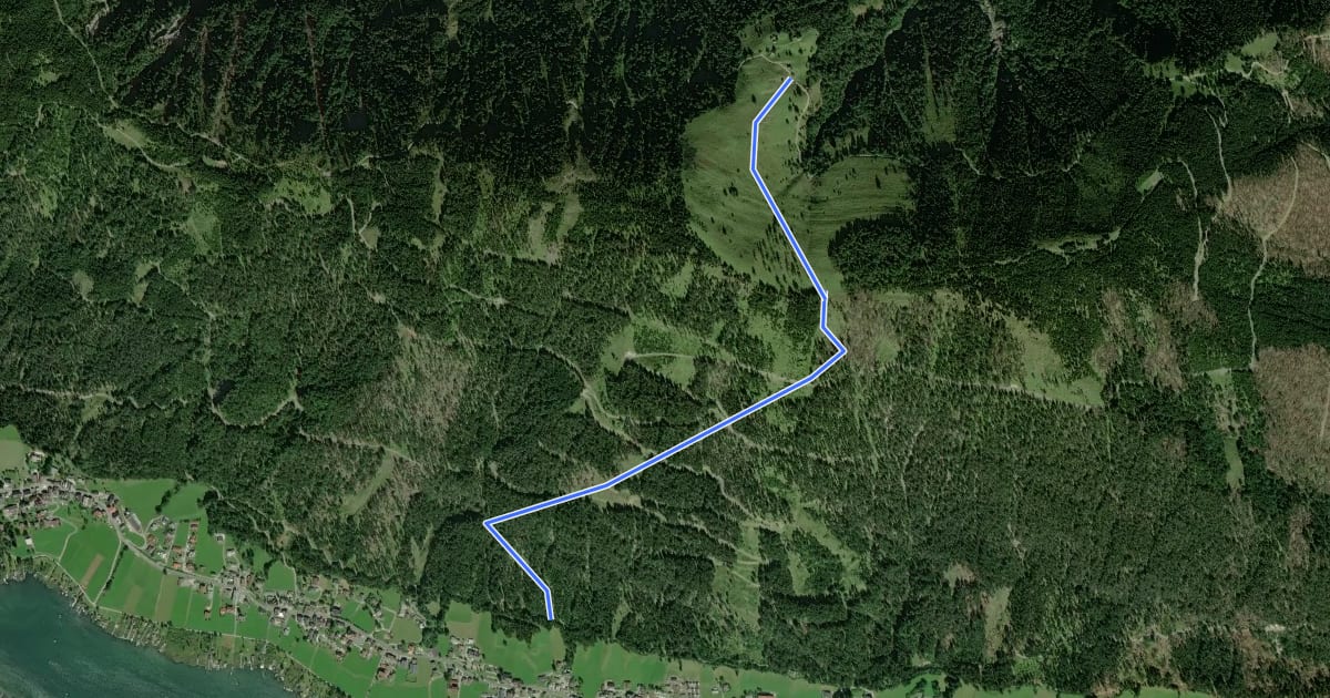 Маршрут Gajacher Alm - Hochtrateb на спутниковом снимке